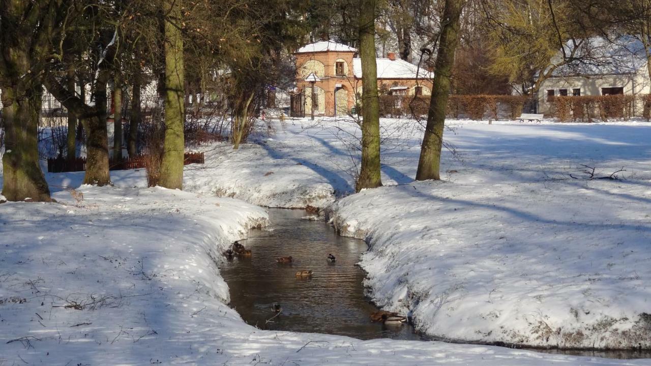 Apartament Parkowy Nałęczów Exterior foto